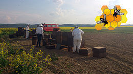 Einsatz in unserer Imkerei
