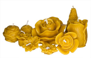 ...Blumen- & Pflanzen