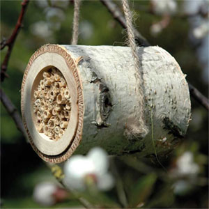 Insektenhotels Insektenhotels