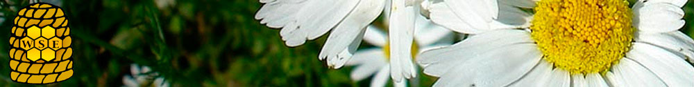 Bioprodukte Seip-Logo