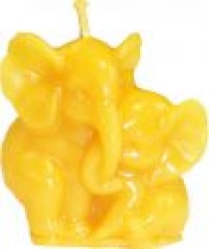 Elefantenpärchen