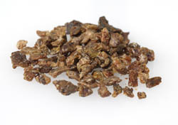 Propolis - der Wächter des Bienenvolkes